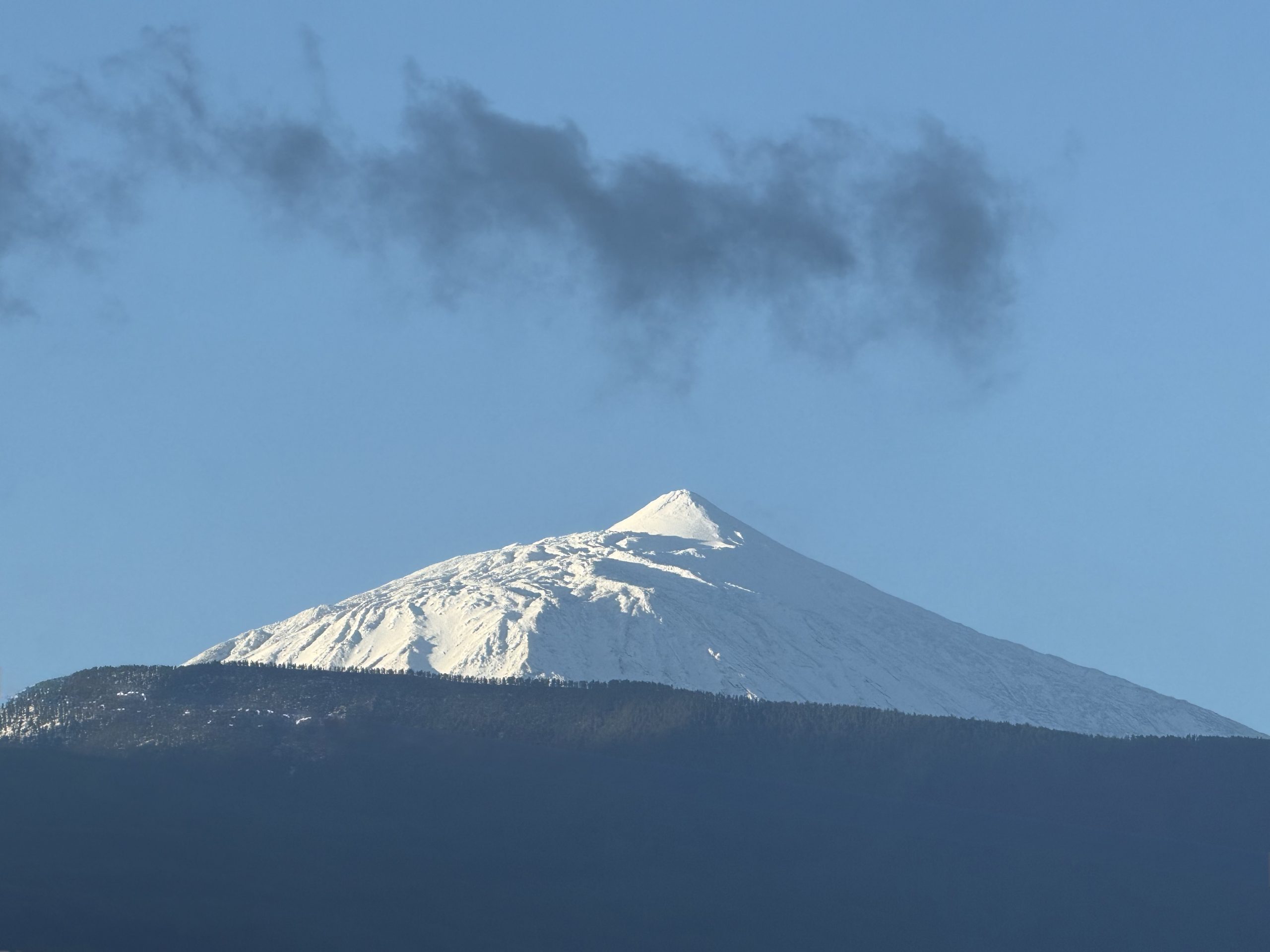 Anfang Januar – und was leise wieder möglich wird