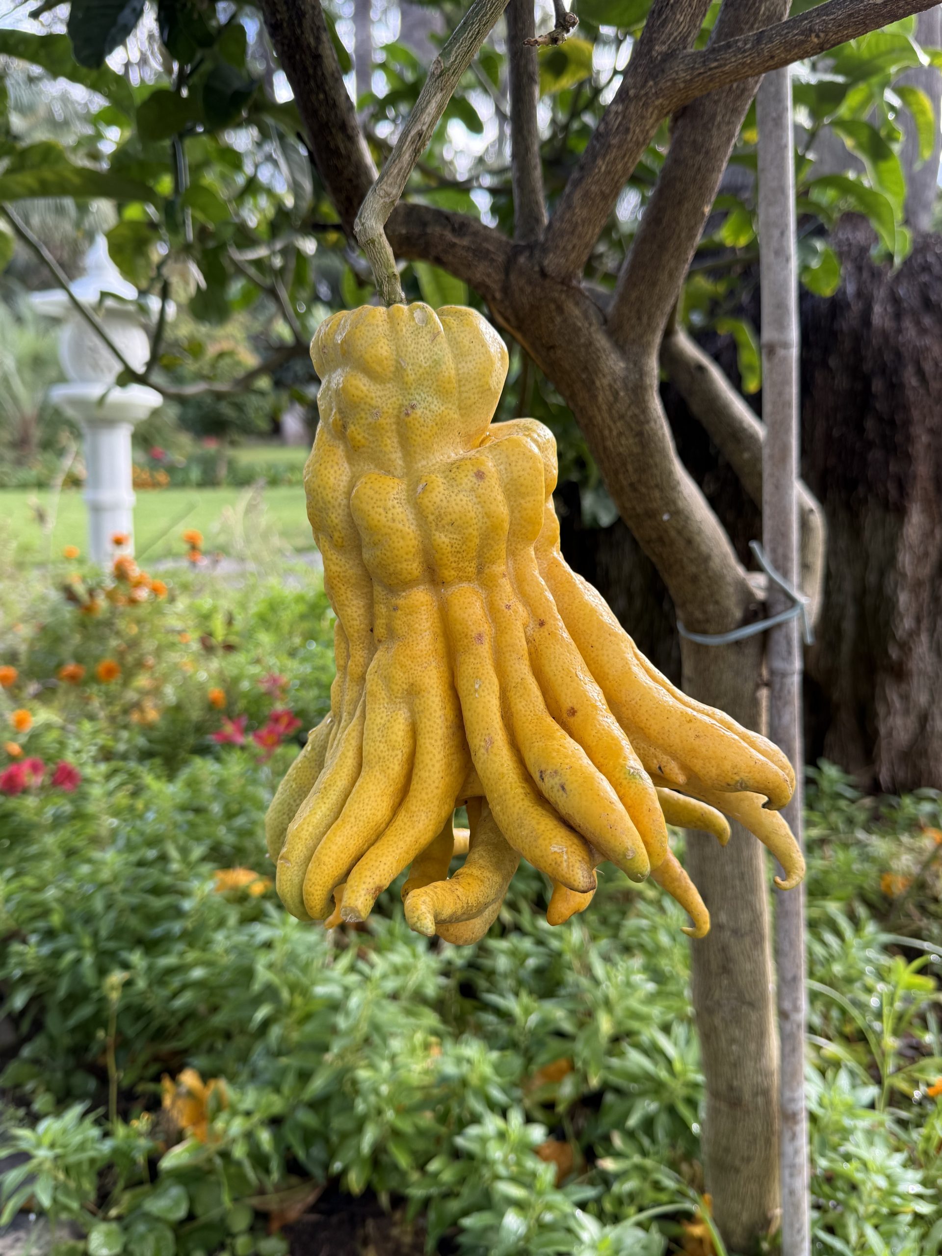 Wenn niemand etwas von dir will – und genau das plötzlich schwer wird